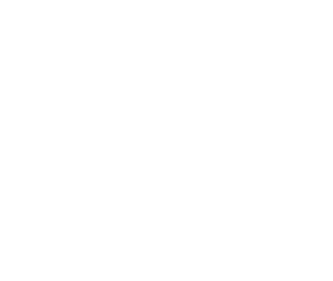 Nissan Dealer Nelson New Zealand